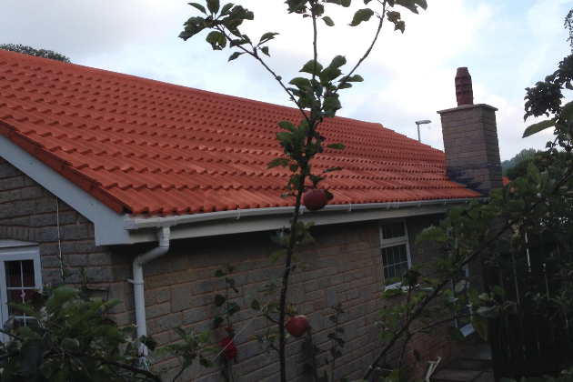 After - Inspector Moss - Torquay